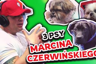 Marcin Czerwiński zabrał do Radia SuperNova aż trzy psy! Tak bawili się w naszym studio