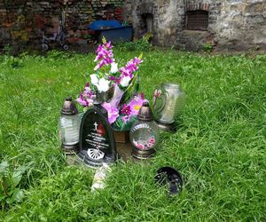 Horror na imprezie. Krystian został znienacka skatowany. Bandzior skakał mu po głowie