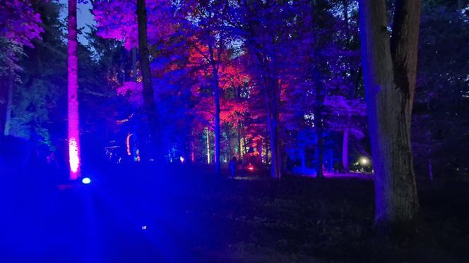 Olsztyn zamienił się w magiczną krainę. Park Świateł przyciągnął tłumy!