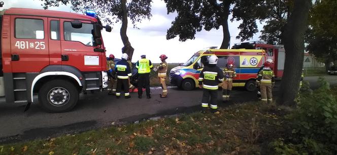 Lubieszewo: Wypadek osobówki. Kierowca trafił do szpitala [ZDJĘCIA]