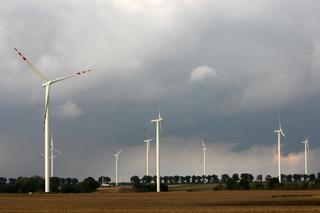 Pomorze Zachodnie liderem w produkcji zielonej energii. Znamy najnowsze dane!