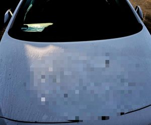 Hanau. Swastyki z ludzkiej krwi na 50 samochodach [ZDJĘCIA].