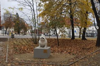 Tak prezentuje się rzeźba psa Kawelina po renowacji