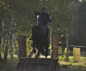 Policyjne konie zdały egzamin!