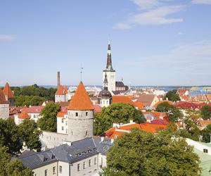 Tallin