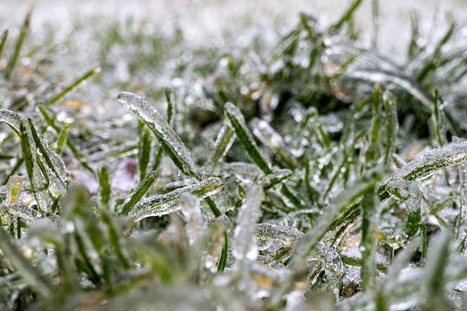 Parszywe warunki na drogach i porywisty wiatr. Zobacz, gdzie w środę pogoda da nam w kość [Prognoza pogody 19.01.2022]