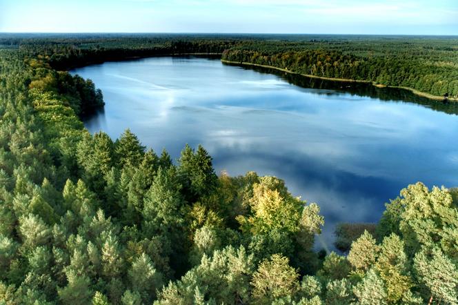 Jezioro Grabino niedaleko Gorzowa. Jak tam dojechać?