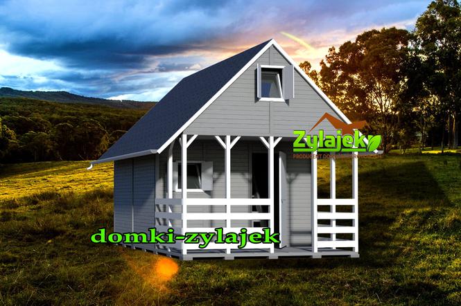 Zylajek