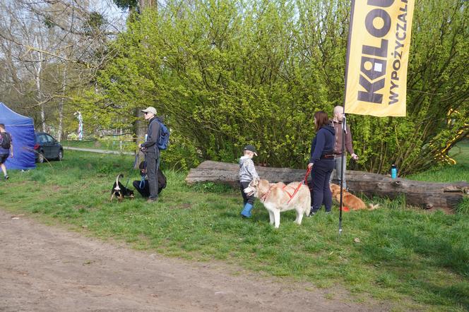 Dogtrekking w Poznaniu