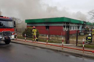 Ostrów Mazowiecka. Pożar opuszczonego budunku szkolnego.