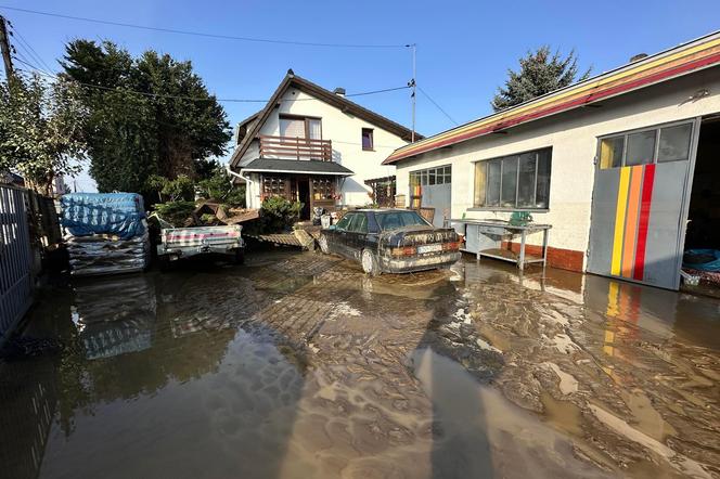 Powódź w Nysie. Sytuacja się stabilizuje. Mieszkańcy liczą straty: "Nie mam pojęcia, co teraz będzie"