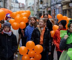 Delegacja z Lejdy gościła w Toruniu. 35 lat partnerstwa