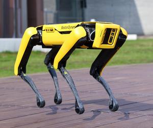 Robotyczny pies z Centrum Nauki Kopernik szuka imienia! Możecie wymyślić je wy!
