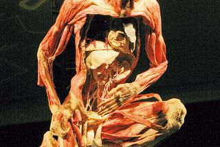 Poznaj ciało w szczegółach