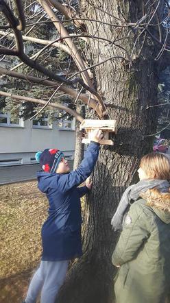 Ptasie stołówki w Mysłowicach