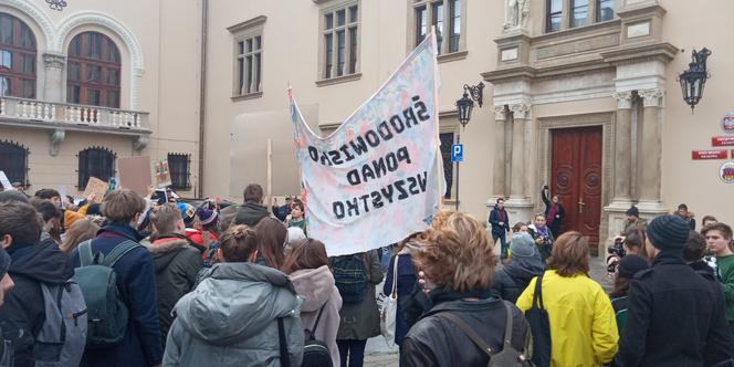 Wielki protest w Krakowie. Strajkowali w obronie klimatu 