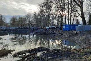 Prace rewitalizacyjne w Parku na Bydgoskim