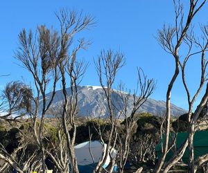 Petru na Kilimandżaro