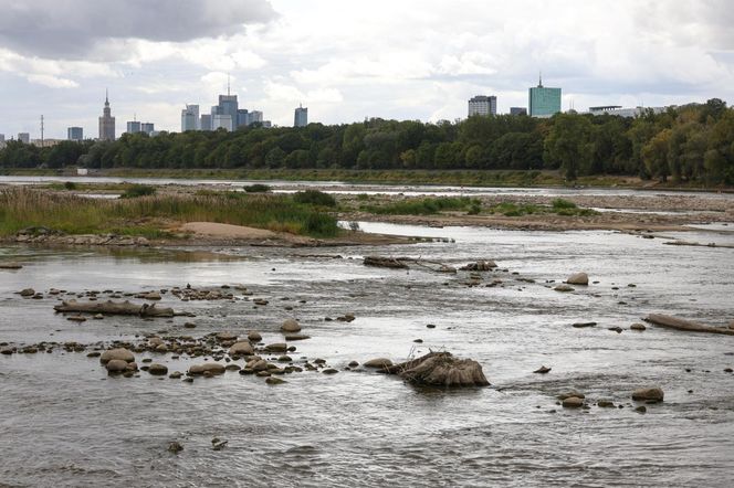 Rekordowo niski stan wody w Wiśle w Warszawie (23.08.2025)