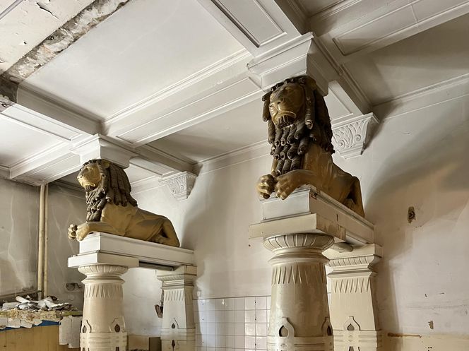 Kamienica przy Matejki 55 w Poznaniu