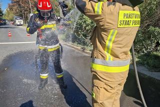  Heroiczna walka strażaków z ogniem. Uratowali psa z płonącego budynku