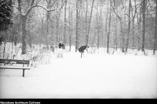 Łazienki Królewskie pod śniegiem.