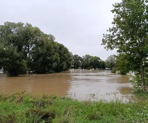 Ząbkowice Śląskie (woj. dolnośląskie)