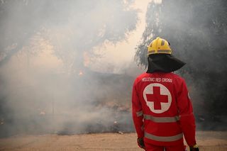 Ogromne pożary pustoszą Bałkany. Tysiące ewakuowanych, tysiące hektarów zniszczone. Ludzie uciekają w panice