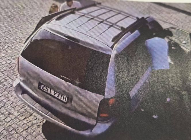Kradzież psa w Świnoujściu