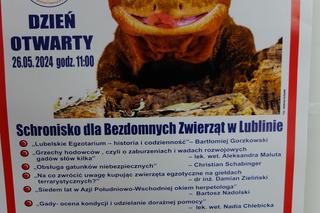 Dzień otwarty w Schronisku dla Bezdomnych Zwierząt w Lublinie [ZDJĘCIA, WIDEO]