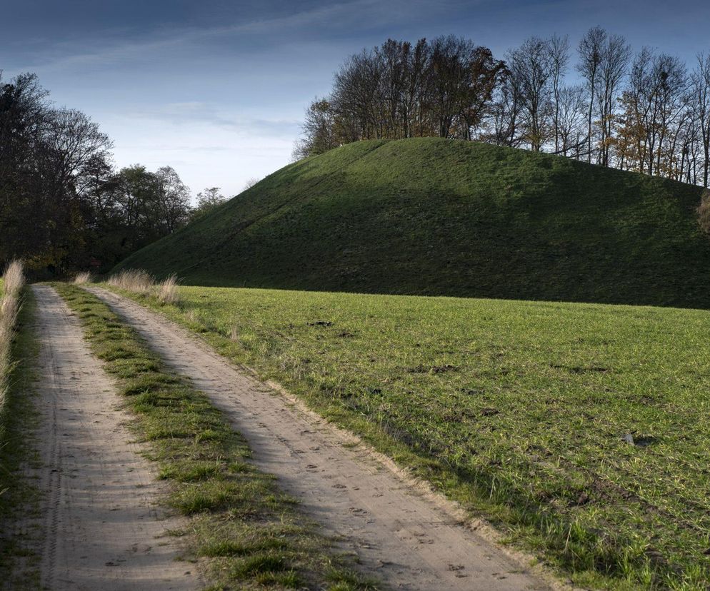 Niesamowite odkrycie w Kałdusie niedaleko Chełmna. Pod Górą św. Wawrzyńca odnaleziono pochówki dzieci, mogły być skrępowane przed pogrzebaniem 