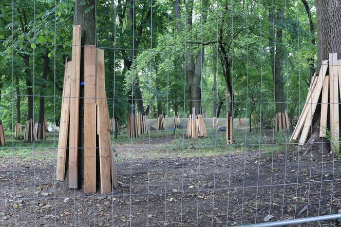 Rewitalizacja parku Bronowickiego w lublinie - postęp prac na koniec lipca 2025