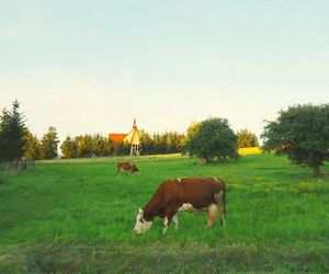 Czerteż - wieś na Podkarpaciu, która kryje wiele tajemnic