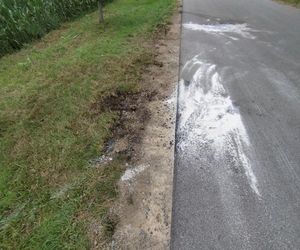 Zabójstwo pod Grójcem