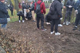 Akcja „Kwiaty Pamięci” w Sokołowie Podlaskim. Zasadzono ponad 18 tys. żonkili