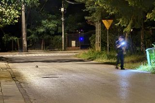 Nocny pościg na Białołęce. Samochodem huknął w drzewo, uciekając zgubił klapki