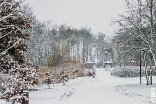 Jaka będzie pogoda na święta w Bydgoszczy? Czy spadnie śnieg? [24.12-26.12.2018]