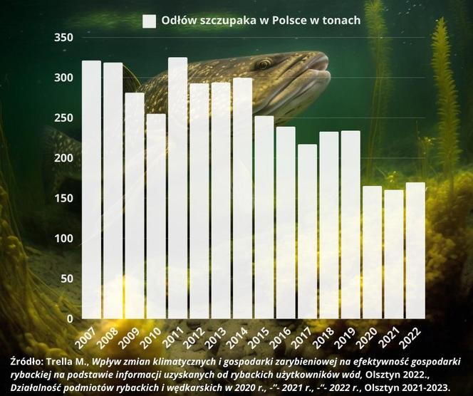 Łowienie szczupaków w Polsce 