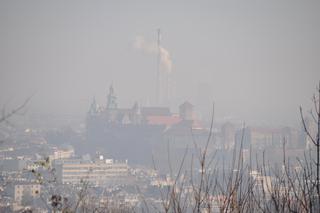 Smog w Polsce - podsumowanie roku. Gdzie normy przekroczono o 1000%?