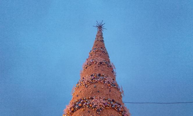 Choinka na wrocławskim rynku