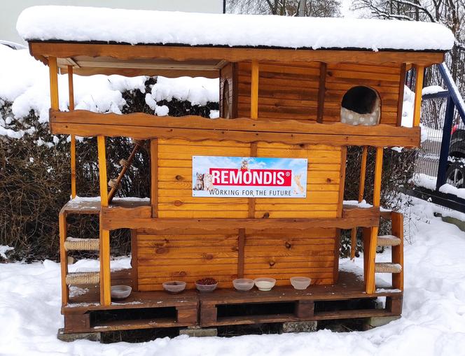 W bazie Remondisu w Sosnowcu powstały niezwykłe domki. Zamieszkały tam bezdomne koty