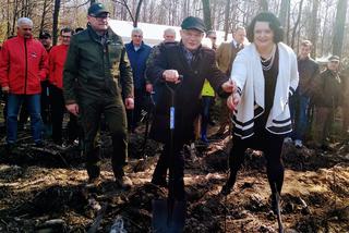 Katowice: Leśnicy sadzą na Muchowcu nowe drzewa [ZDJĘCIA, AUDIO]