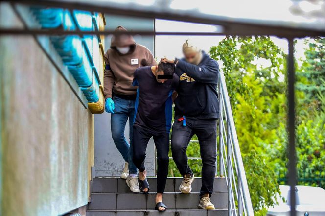 Rodzinny horror w dawnym tartaku