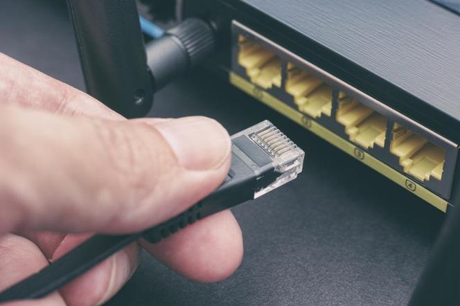 Kabel Ethernet — jaki kupić w 2024? To ma znaczenie!