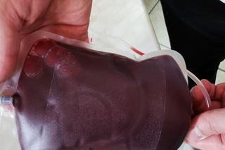 Krew - co się z nią dzieje na trasie od dawcy do biorcy