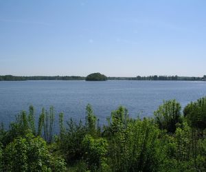 Dzierżno Małe to ukryta leśna perła