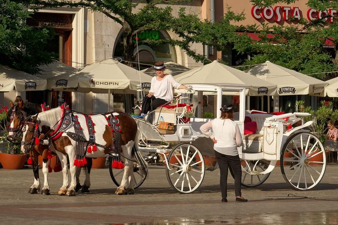Rynek Główny będzie zamknięty dla dorożek. Magistrat ujawnił szczegóły