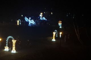 18- latek zniszczył świąteczne iluminacje w koszalińskim parku. Został złapany na gorącym uczynku