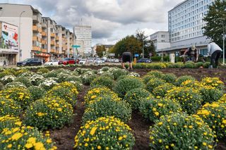 Władze miasta zaserwowały mieszkańcom Białegostoku kolejną podwyżkę. Co będzie droższe?