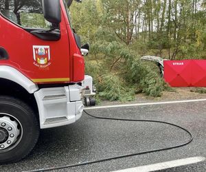 45-latek wjechał wprost pod nadjeżdżającą ciężarówkę! Tragedia w Bydgoszczy 